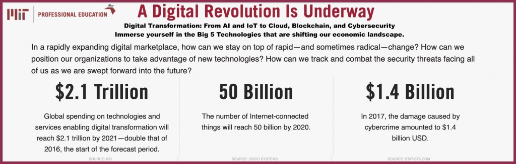 MIT Organizational Design for Digital Transformation

