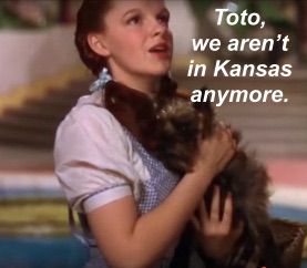 Arriving in a time of continuous transformation and navigating according to old paradigms is like trying to find your way through Oz using a map of Kansas.