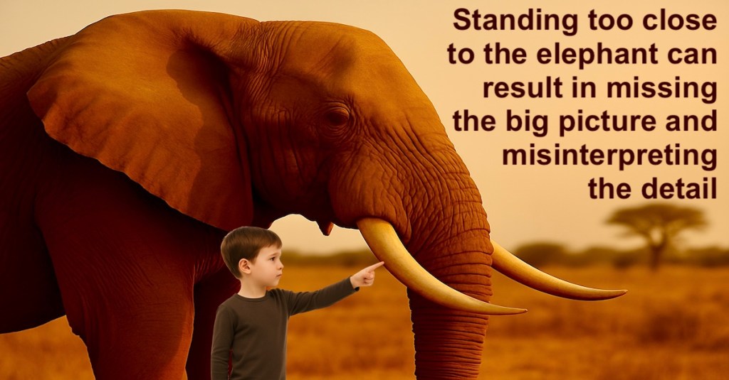 Standing to Close to the Elephant